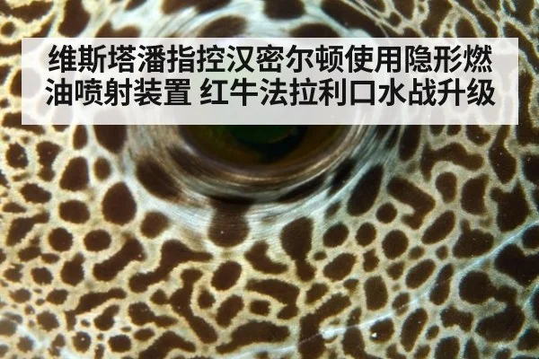 维斯塔潘指控汉密尔顿使用隐形燃油喷射装置 红牛法拉利口水战升级